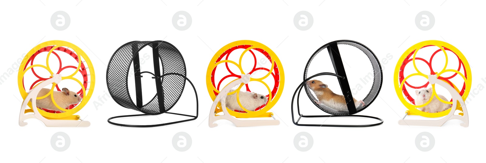 Image of Cute funny hamsters running in wheels on white background, collage. Banner design