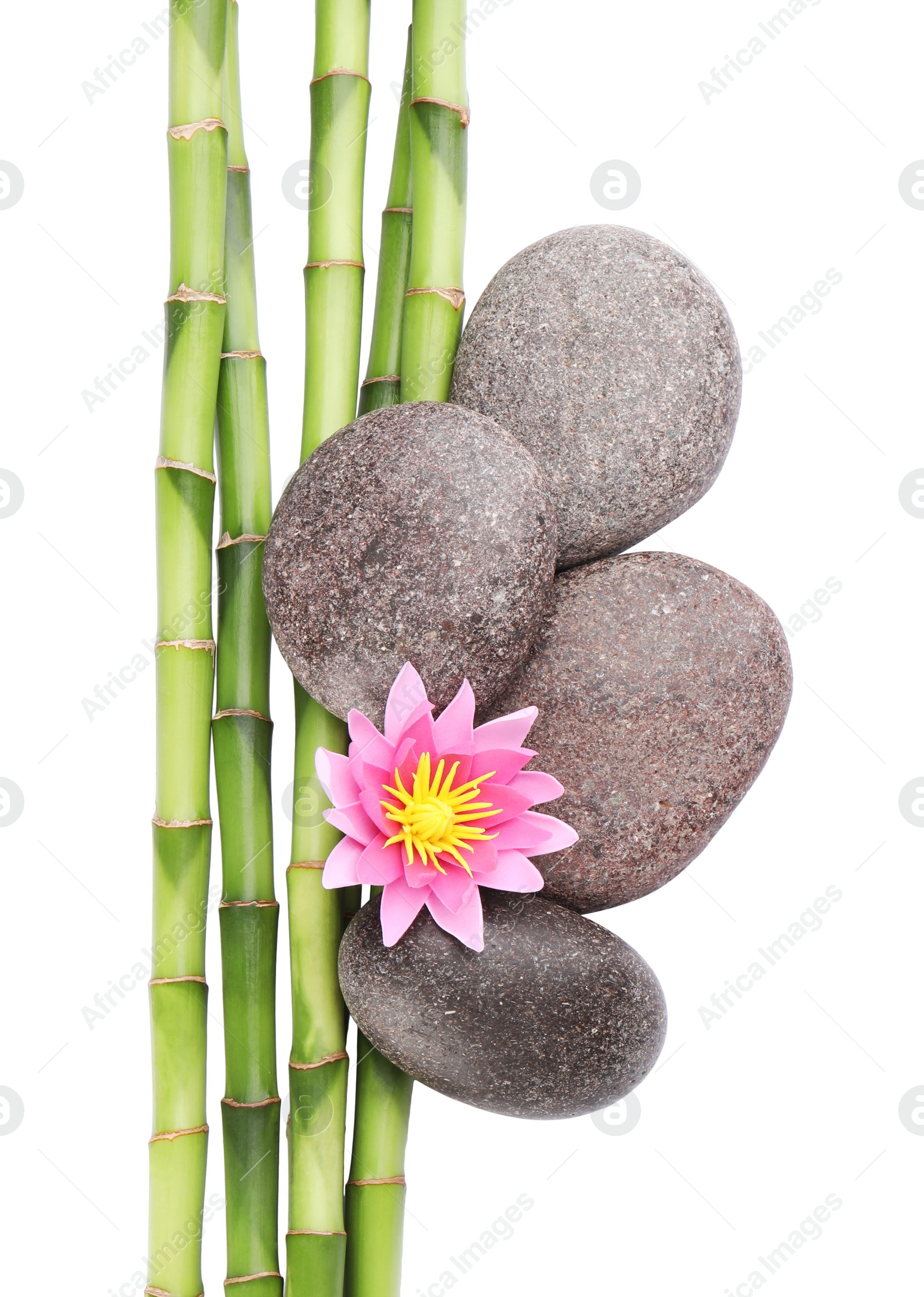 Photo of Spa stones, beautiful flower and bamboo stems on white background, top view