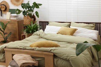 Comfortable bed and beautiful green houseplants in bedroom