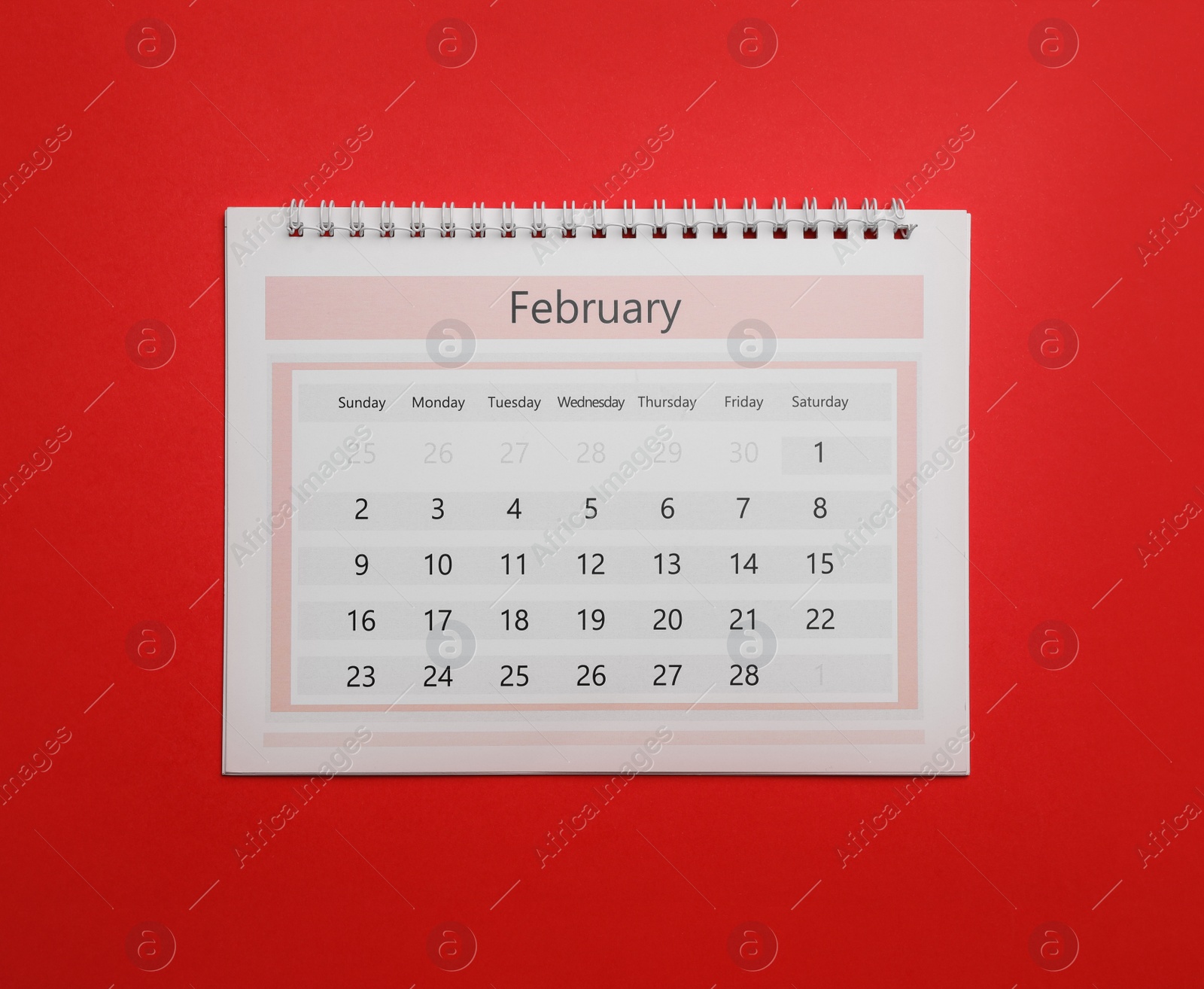 Photo of February calendar on red background, top view