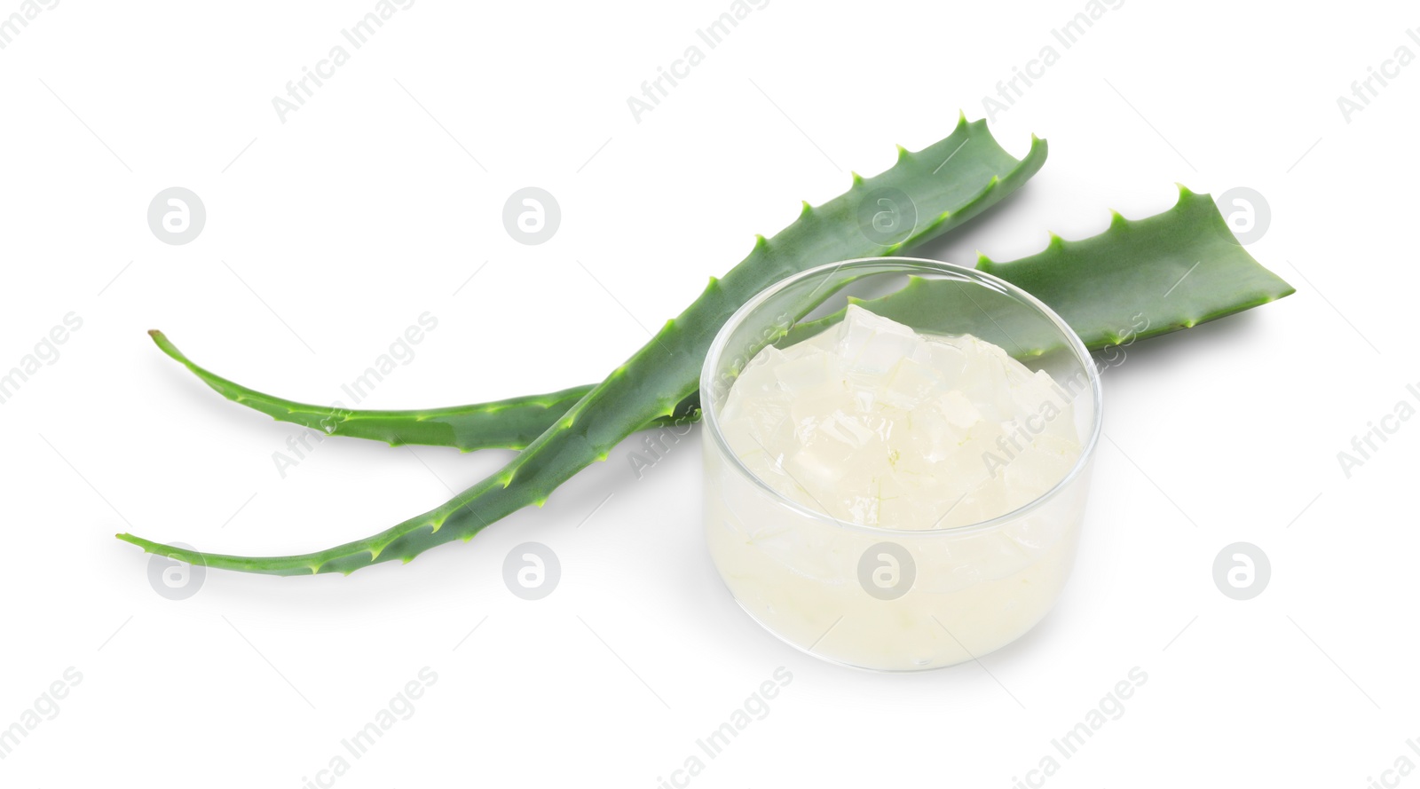 Photo of Aloe vera gel and slices of plant isolated on white