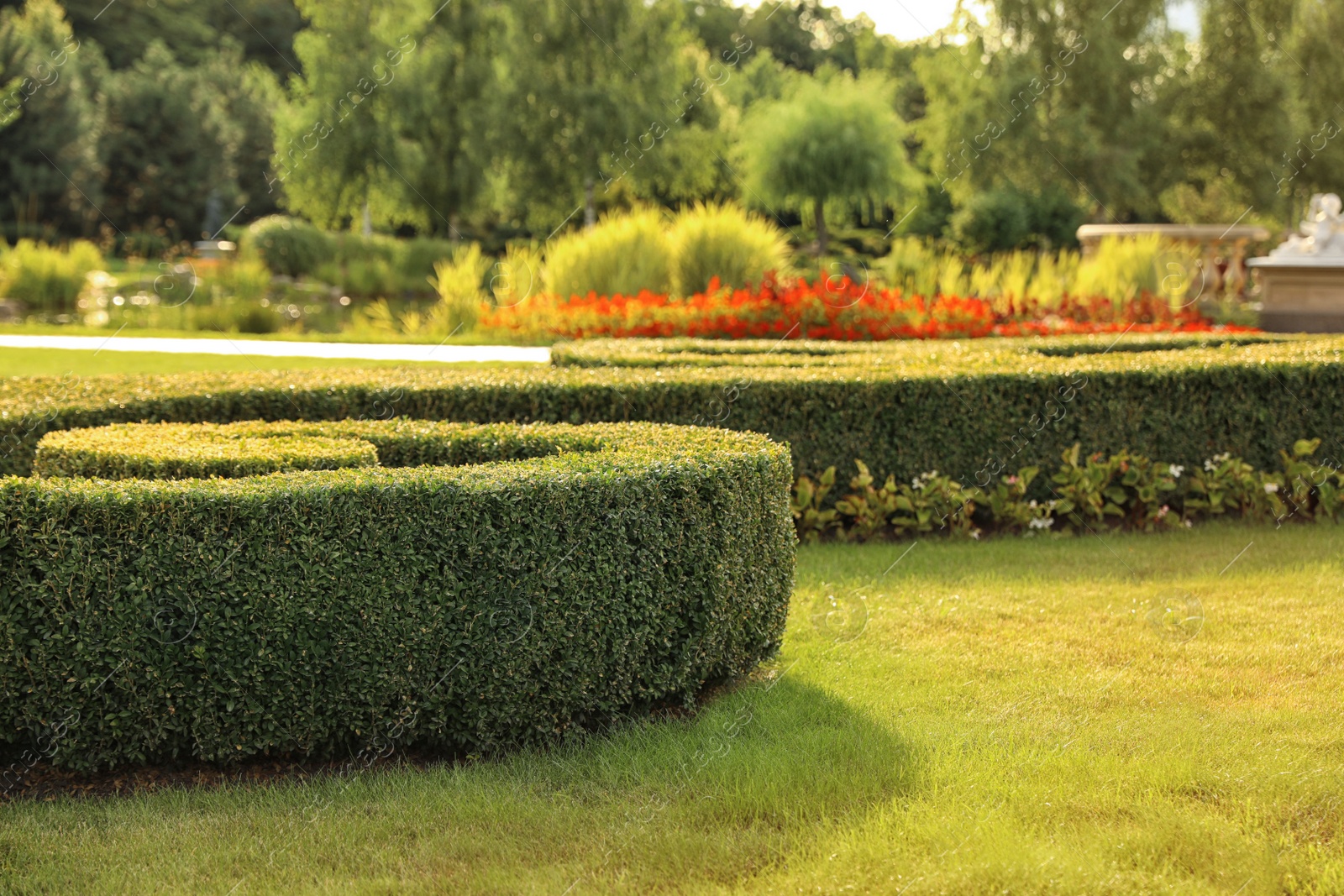 Photo of Picturesque landscape with beautiful green lawn on sunny day. Gardening idea