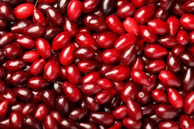 Fresh ripe dogwood berries as background, top view