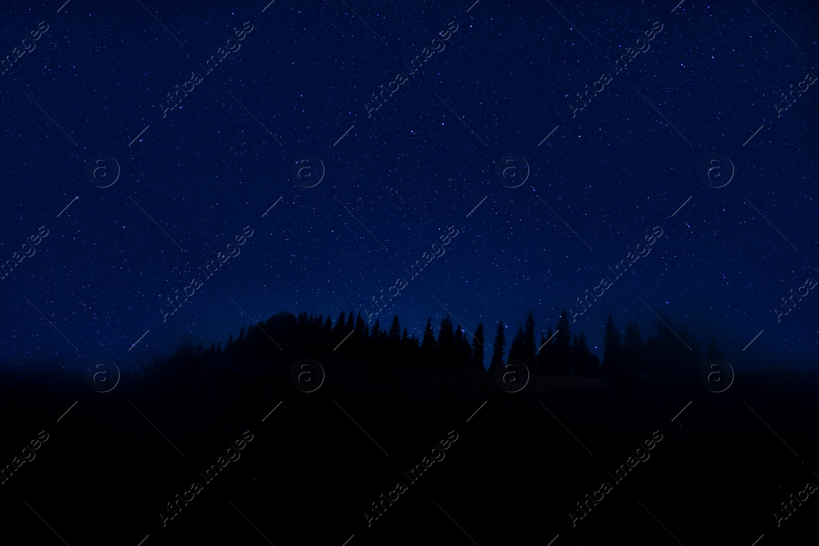 Image of Countless twinkling stars in night sky over forest