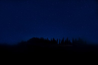 Image of Countless twinkling stars in night sky over forest