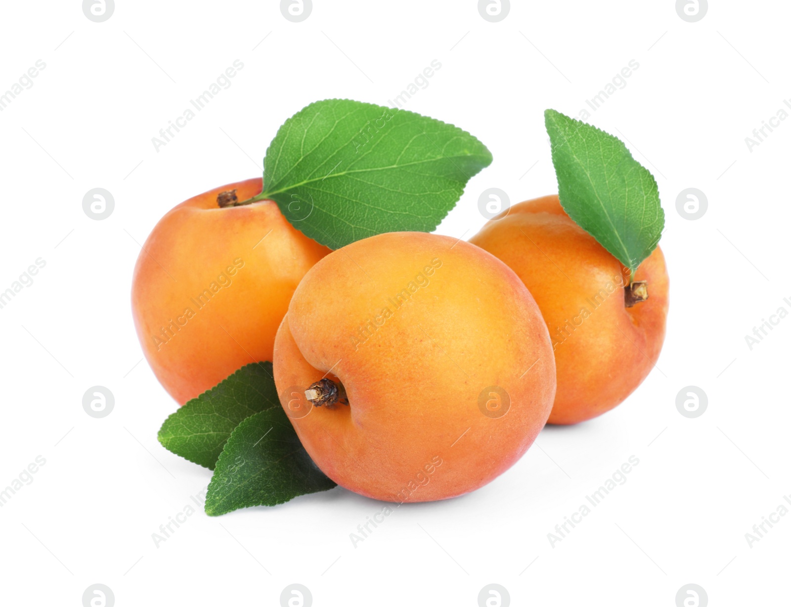 Photo of Delicious fresh ripe apricots on white background