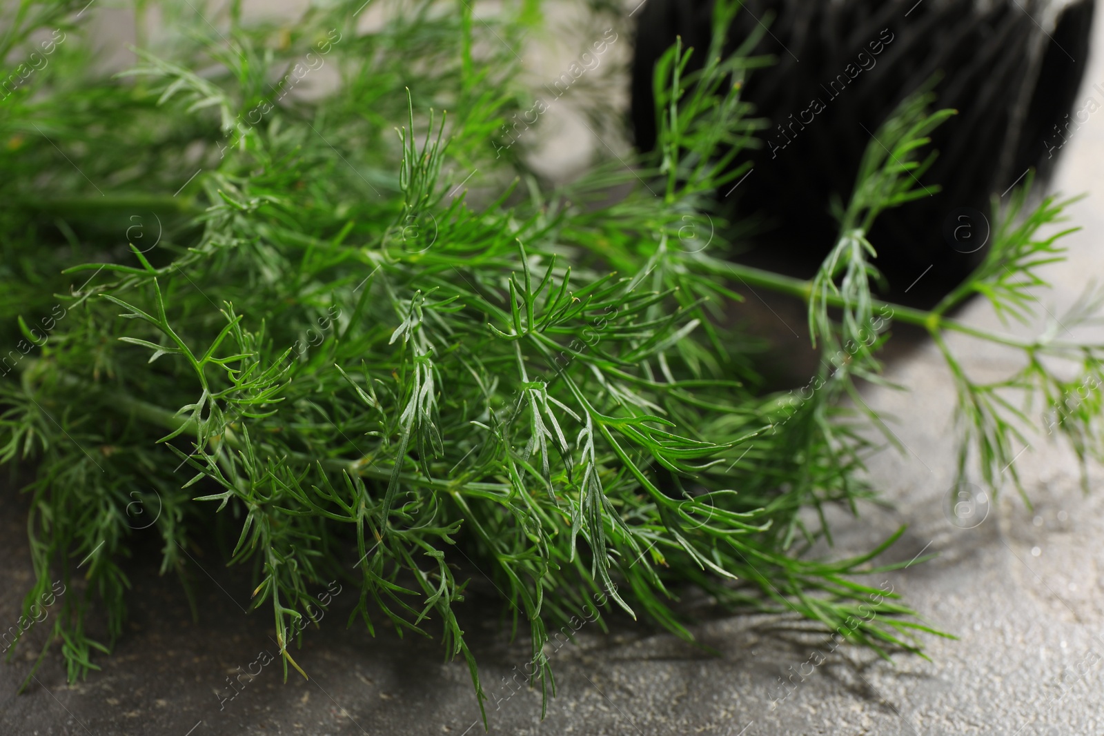 Photo of Fresh dill on grey textured table, closeup