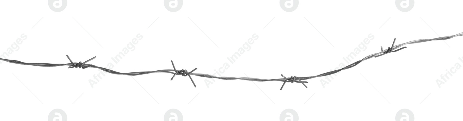 Photo of Shiny metal barbed wire isolated on white