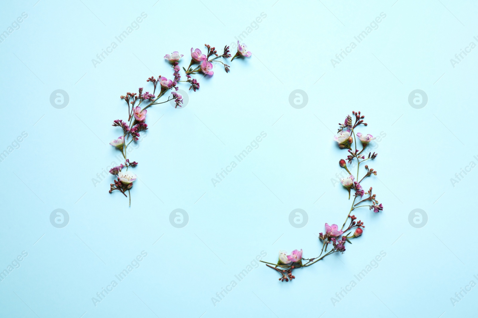 Photo of Flat lay composition with beautiful flowers and space for text on light blue background. Floral card design