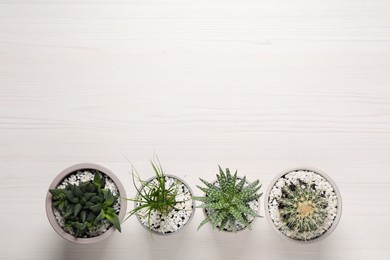 Photo of Different house plants in pots on white wooden table, flat lay. Space for text.