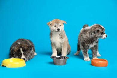 Photo of Cute Akita inu puppies with feeding bowls on light blue background. Friendly dogs
