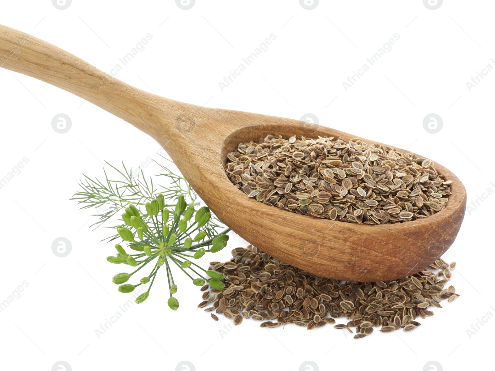 Photo of Spoon of dry seeds and fresh dill isolated on white