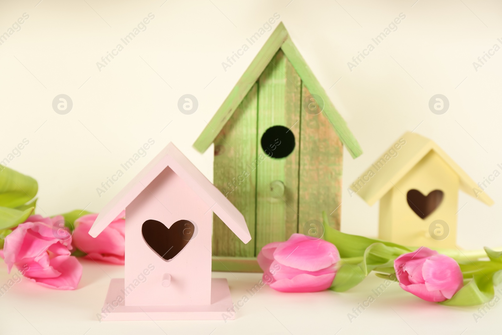 Photo of Beautiful bird houses and tulips on beige background