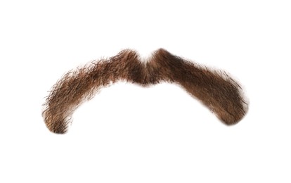 Image of Stylish brown mustache isolated on white. Facial hair