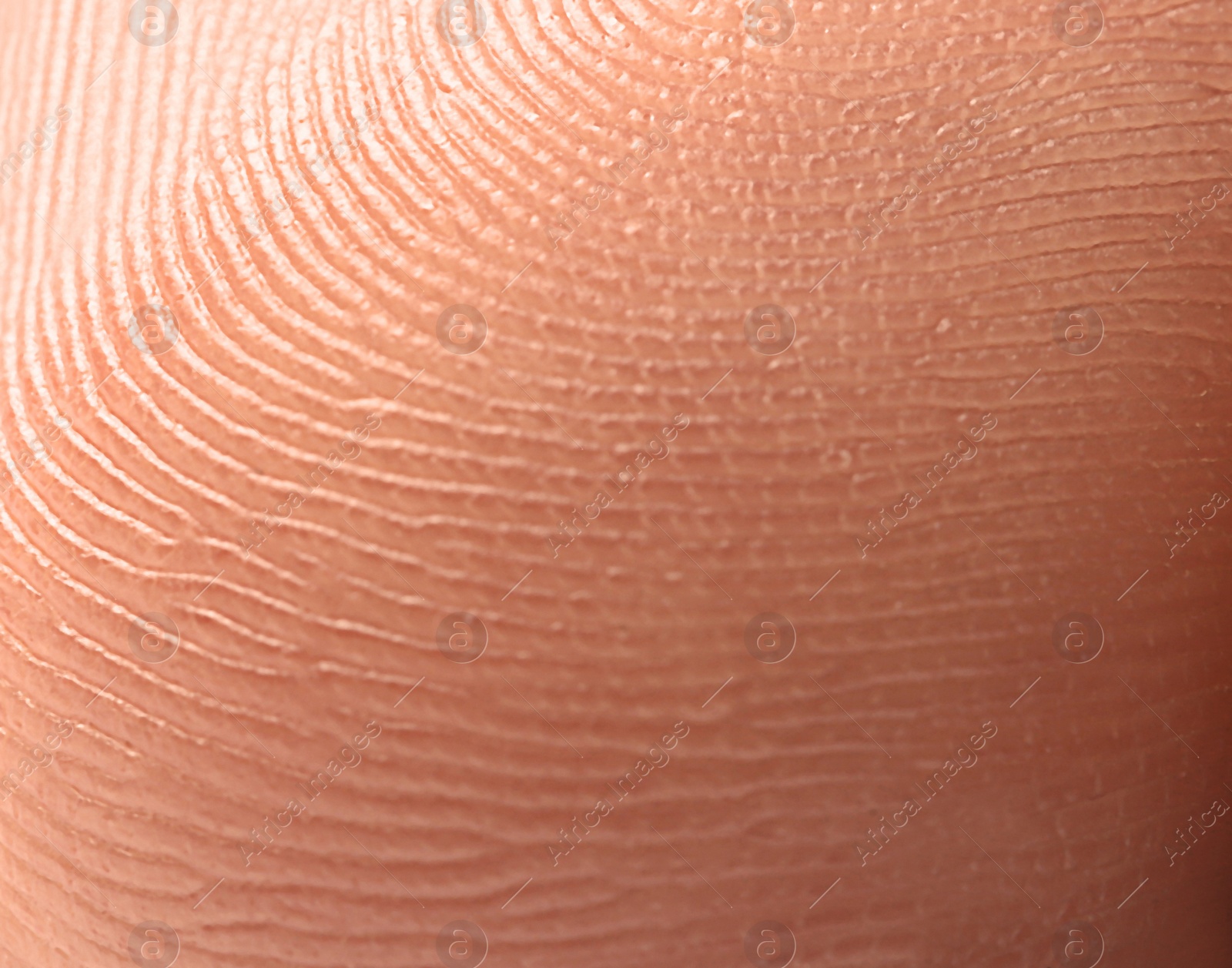 Photo of Closeup view of human finger. Friction ridge pattern