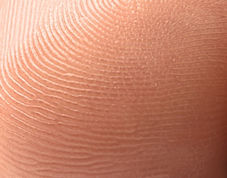 Closeup view of human finger. Friction ridge pattern