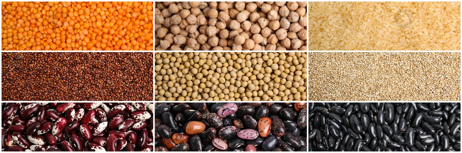 Image of Collage with photos of different legumes and seeds, banner design. Vegan diet 