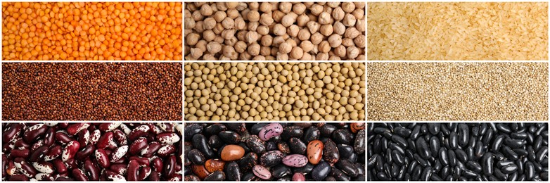 Collage with photos of different legumes and seeds, banner design. Vegan diet 