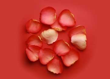 Photo of Beautiful fresh rose petals on red background, flat lay