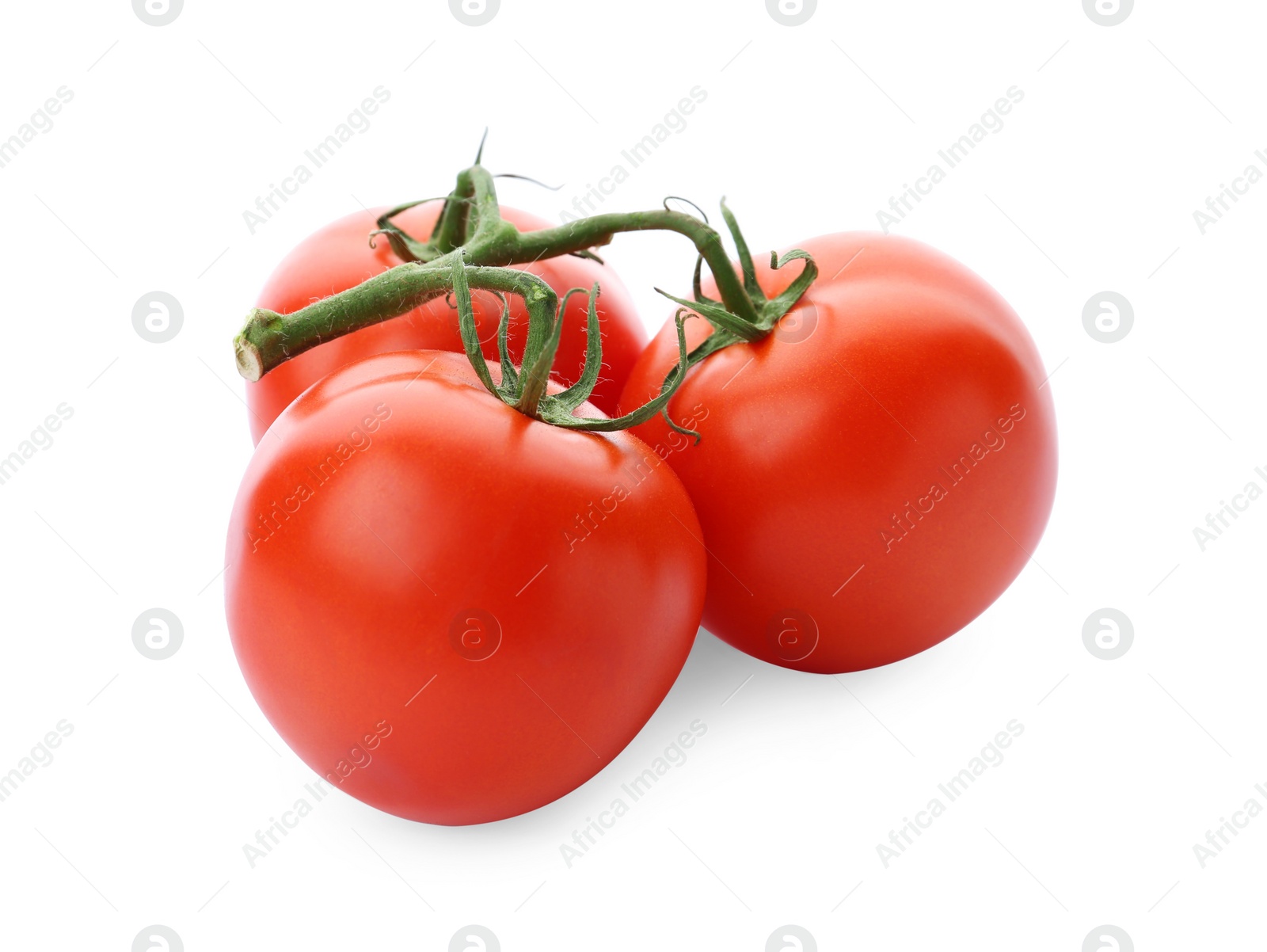 Photo of Branch of ripe red tomatoes on white background