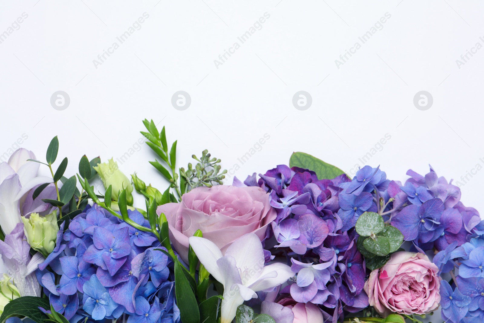 Photo of Beautiful composition with hortensia flowers on white background, flat lay. Space for text