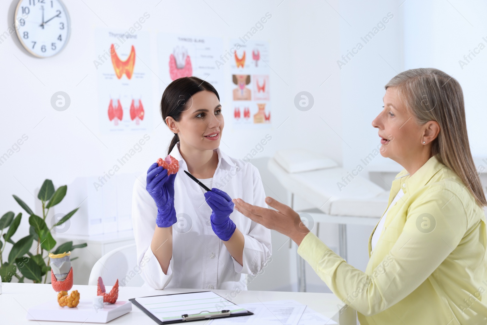 Photo of Endocrinologist showing thyroid gland model to patient at table in hospital