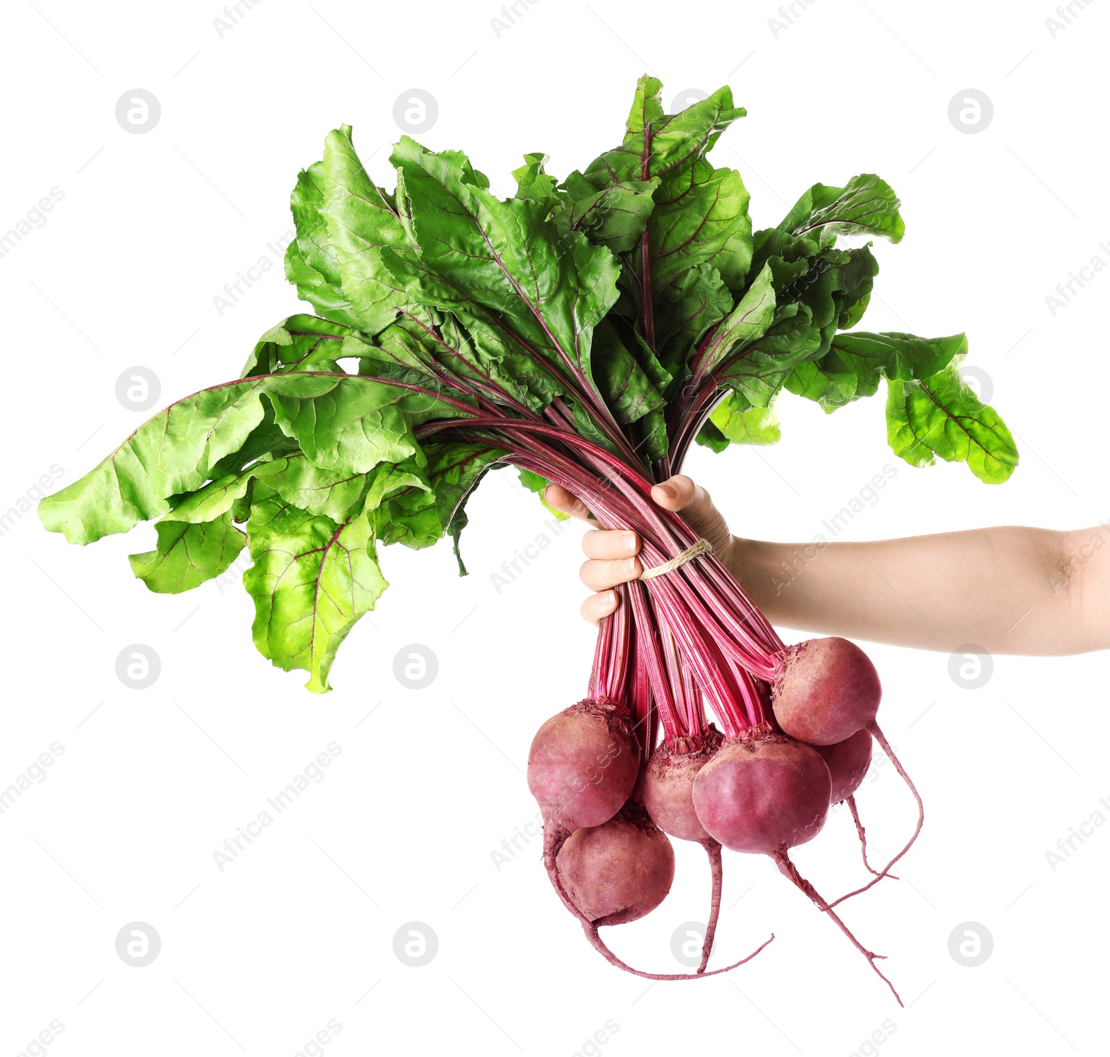 Photo of Woman holding raw ripe beets on white background, closeup