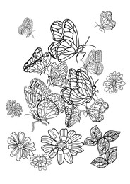 Beautiful butterflies and flowers on white background, illustration. Coloring page