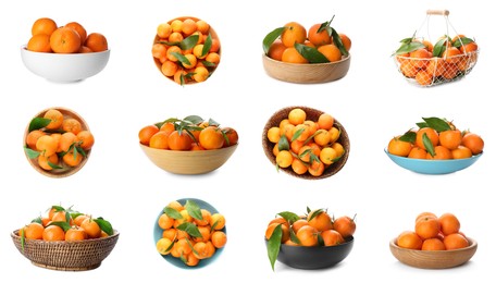 Image of Set with fresh ripe tangerines on white background