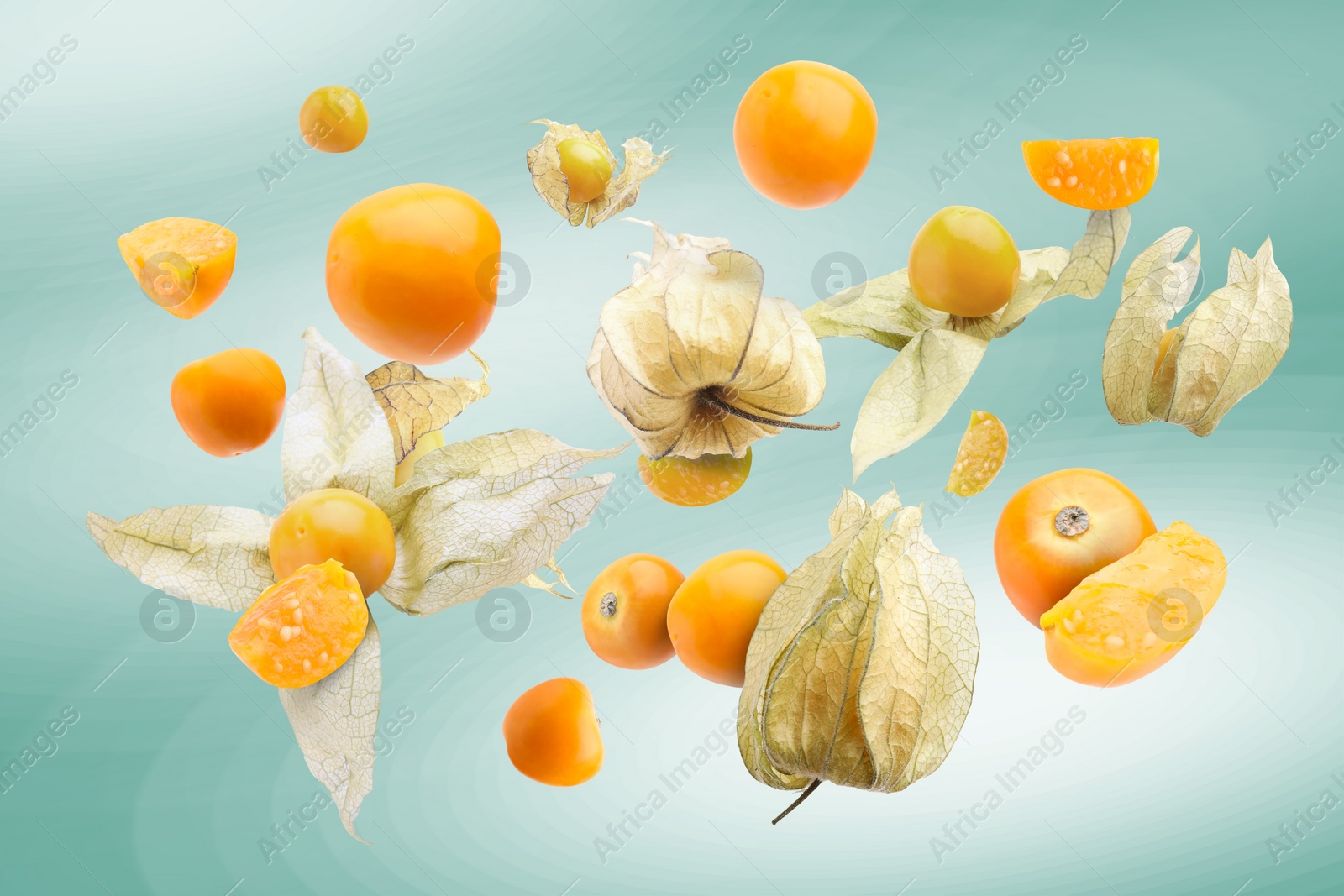 Image of Ripe orange physalis fruits with calyx falling on color gradient background