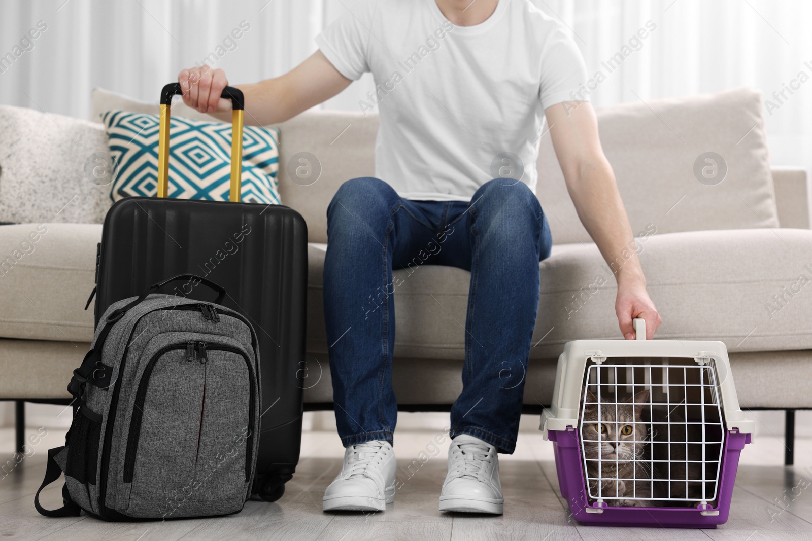 Photo of Travel with pet. Man near carrier with cute cat on sofa at home, closeup