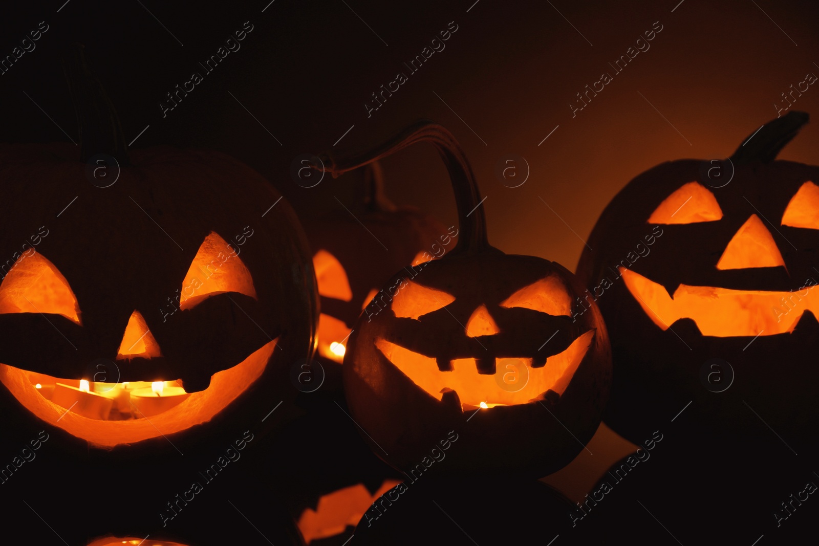 Photo of Halloween pumpkin heads. Glowing jack lanterns in dark