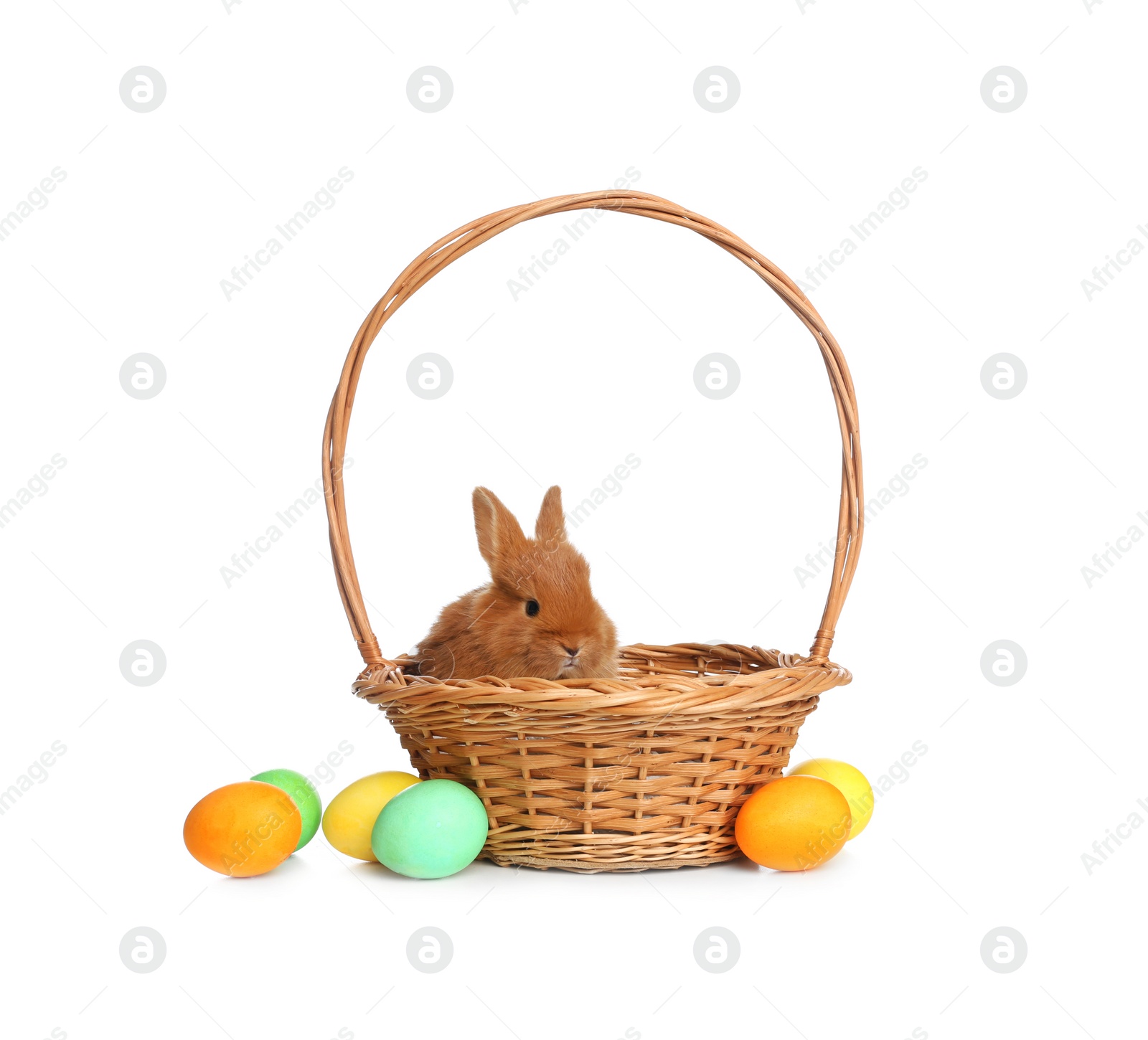 Photo of Adorable fluffy bunny in wicker basket and Easter eggs on white background