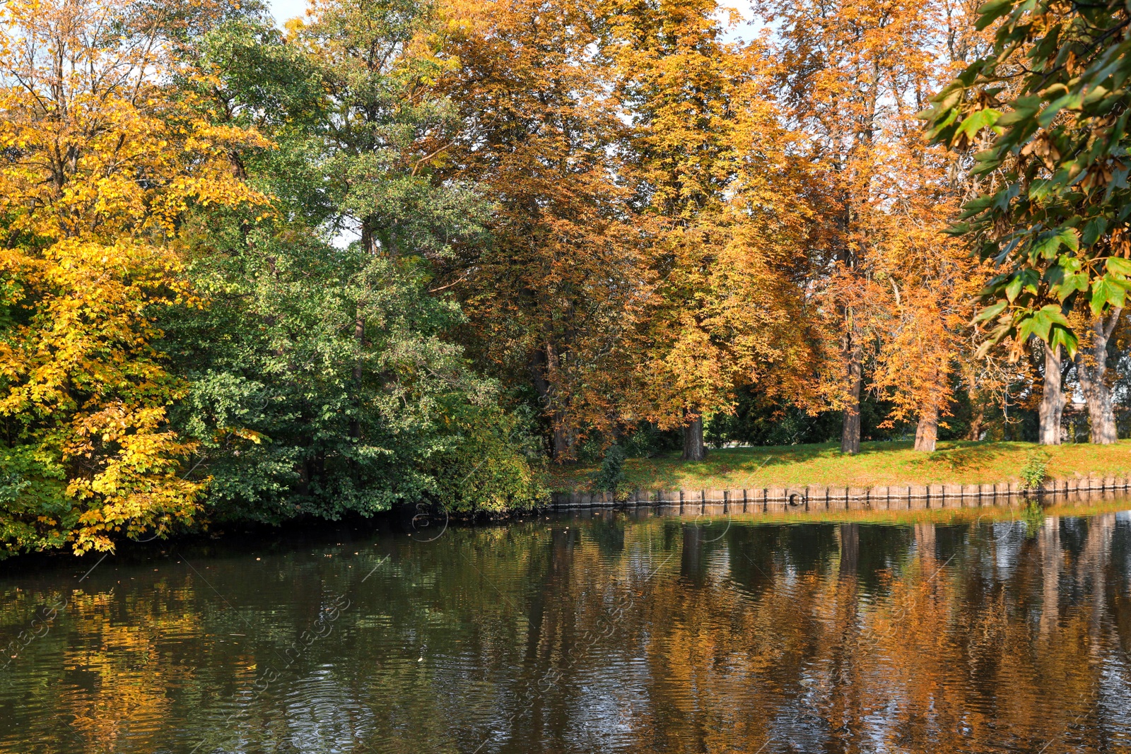 Photo of Picturesque view of river and trees in beautiful park. Autumn season