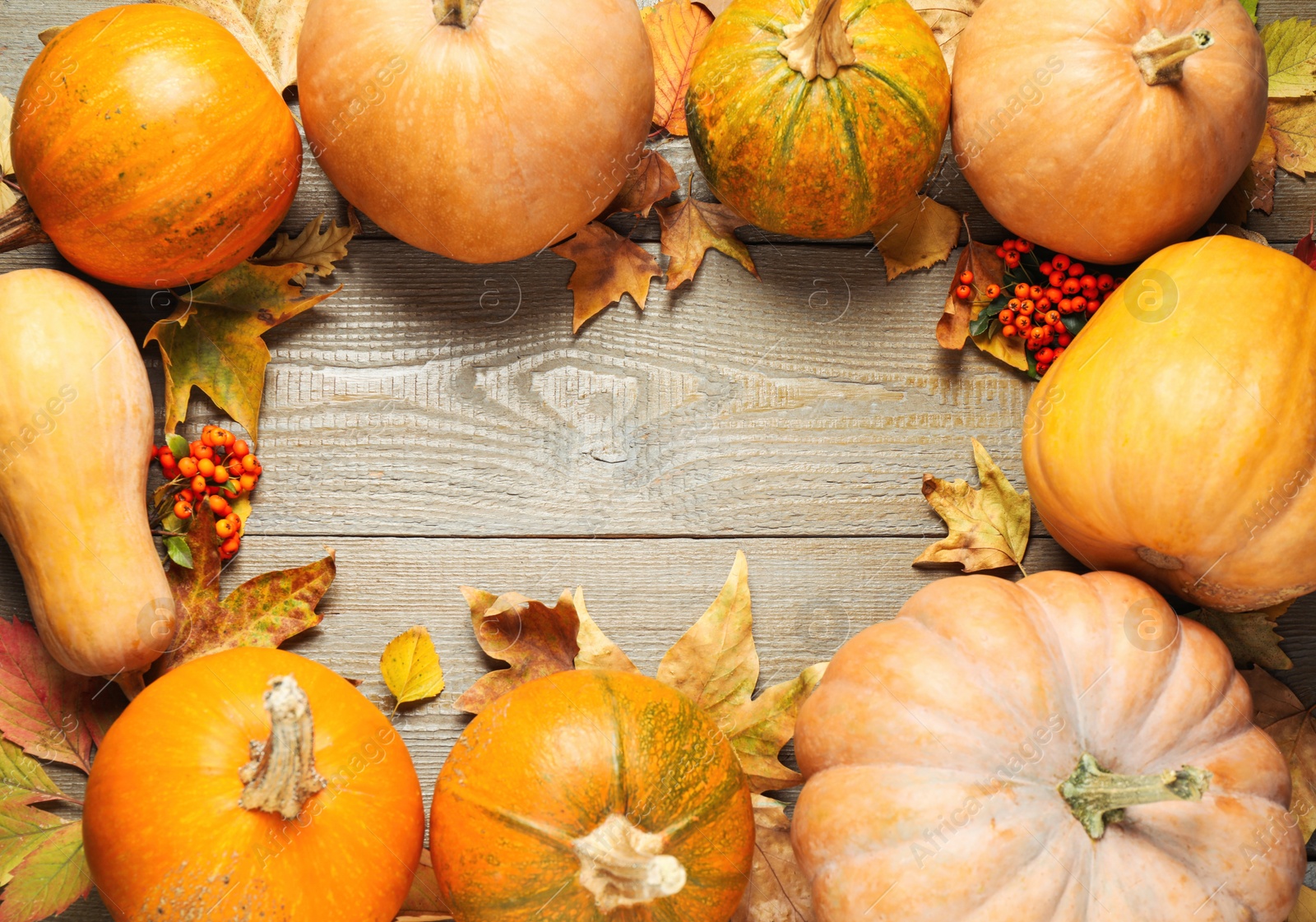 Photo of Flat lay composition with different ripe pumpkins on wooden background, space for text. Holiday decoration