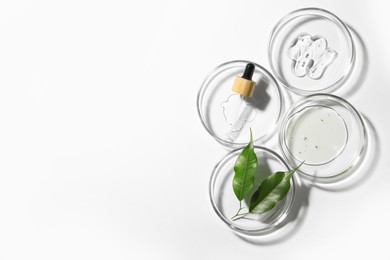 Photo of Petri dishes with samples, leaves and pipette on white background, top view