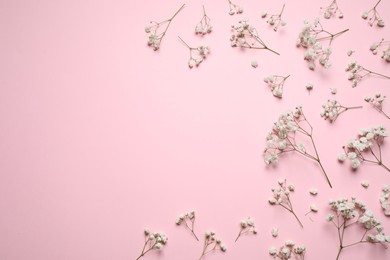 Photo of Beautiful floral composition with gypsophila on pink background, flat lay. Space for text