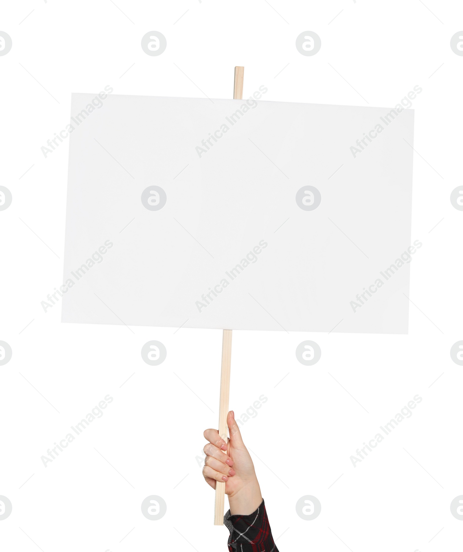 Photo of Woman holding blank protest sign on white background, closeup