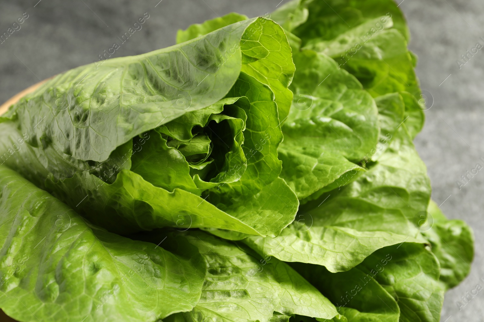Photo of Fresh green romaine lettuces on blurred background, closeup