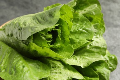 Fresh green romaine lettuces on blurred background, closeup