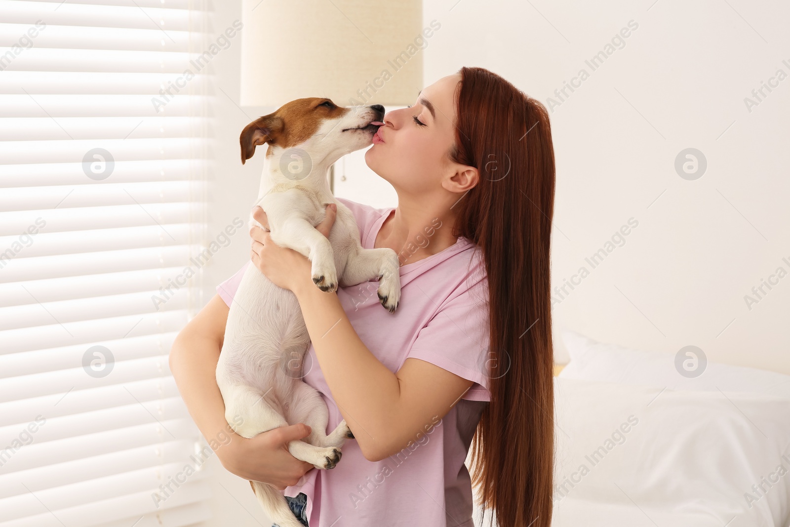 Photo of Woman kissing cute Jack Russell Terrier dog in bedroom