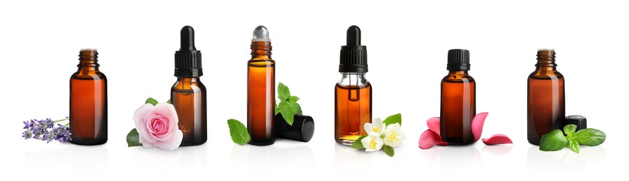 Image of Set of different essential oils in bottles and ingredients on white background