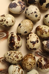 Photo of Speckled quail eggs and feathers on beige background, flat lay