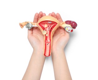 Photo of Woman holding model of female reproductive system on white background, top view. Gynecological care