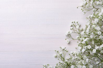 Photo of Beautiful gypsophila flowers on white wooden background, flat lay. Space for text