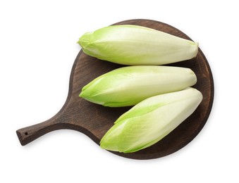 Photo of Raw ripe chicories on white background, top view