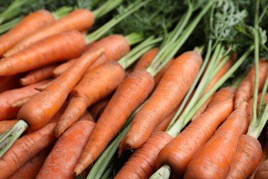 Photo of Pile of tasty raw carrots as background, closeup