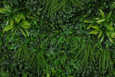 Photo of Green artificial plant wall panel as background, closeup