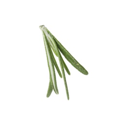 Photo of Fresh green rosemary leaves on white background