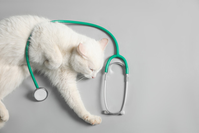 Photo of Cute cat with stethoscope as veterinarian on grey background, top view